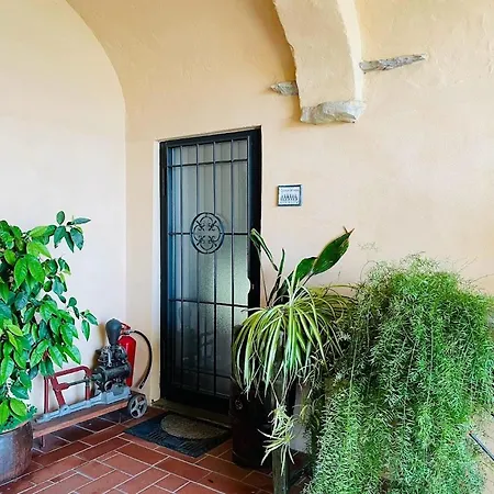 Biologico Poggiopiano *