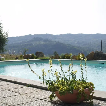 Biologico Poggiopiano ファームステイ フィエーゾレ