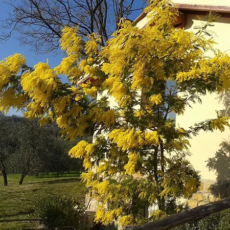 Biologico Poggiopiano *