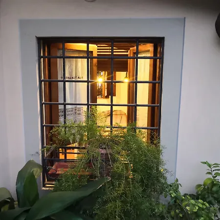 Biologico Poggiopiano ファームステイ