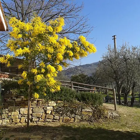 ファームステイ Biologico Poggiopiano フィエーゾレ